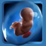 PregApp